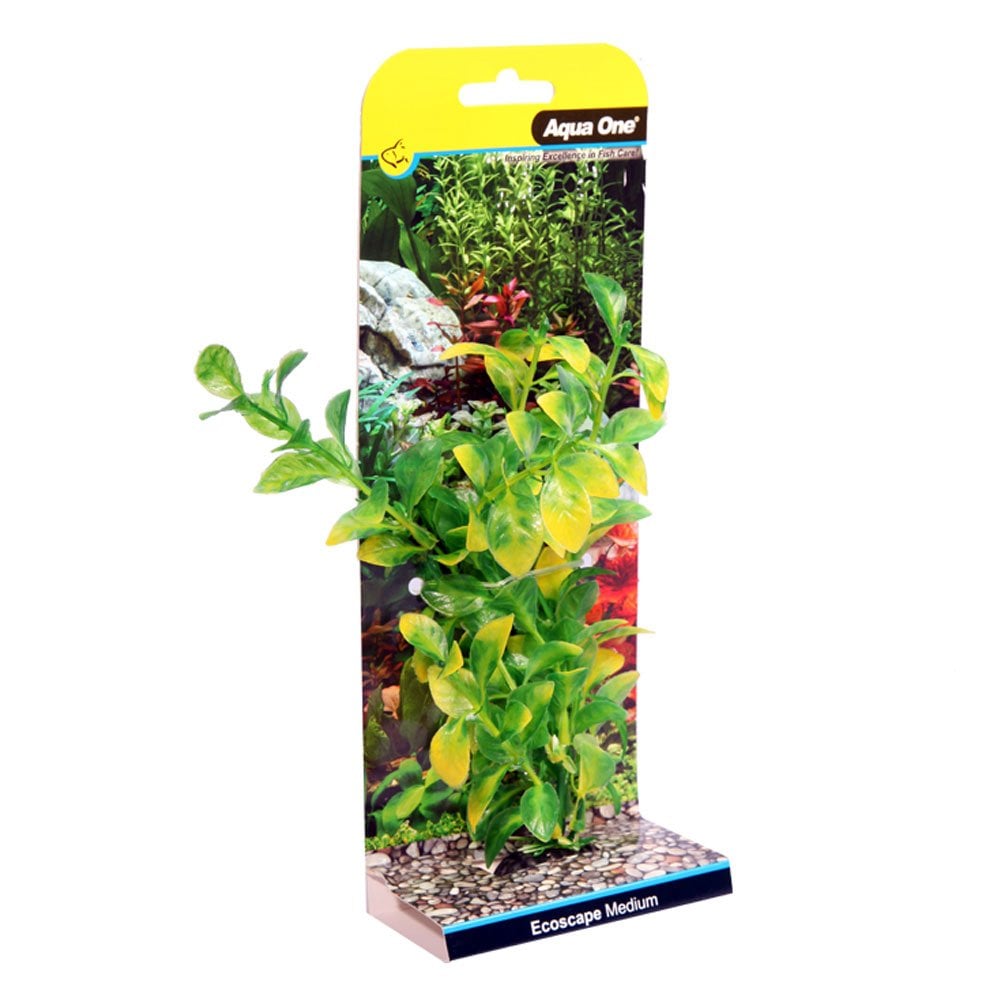 Ecoscape Green Hygro 20cm
