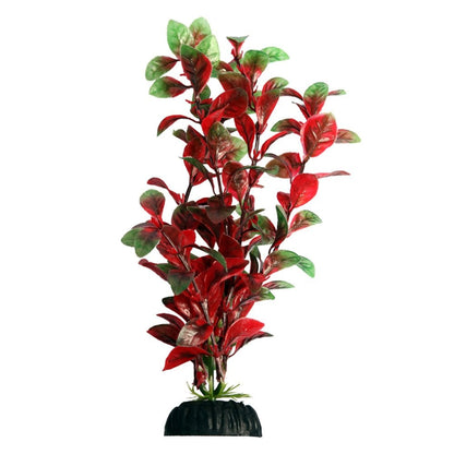 Ecoscape Red Hygro 20cm