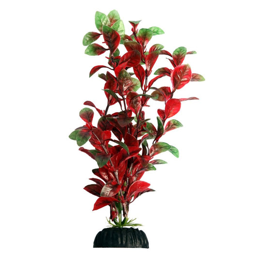 Ecoscape Red Hygro 20cm