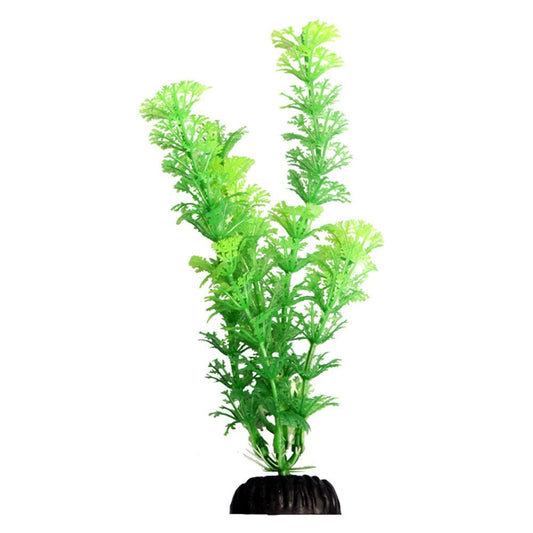 Ecoscape Green Ambulia 20cm