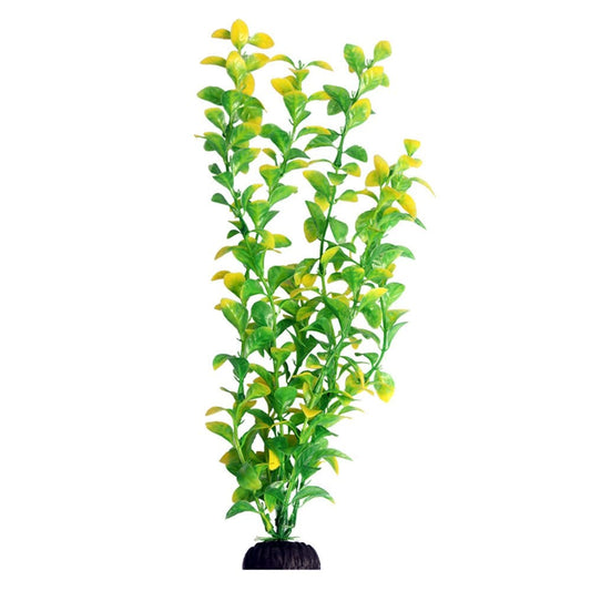Ecoscape Green Hygro 40cm