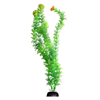 Ecoscape Green Ambulia 40cm