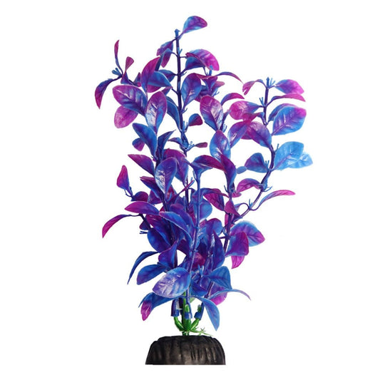 Brightscape Blue Hygro 20cm