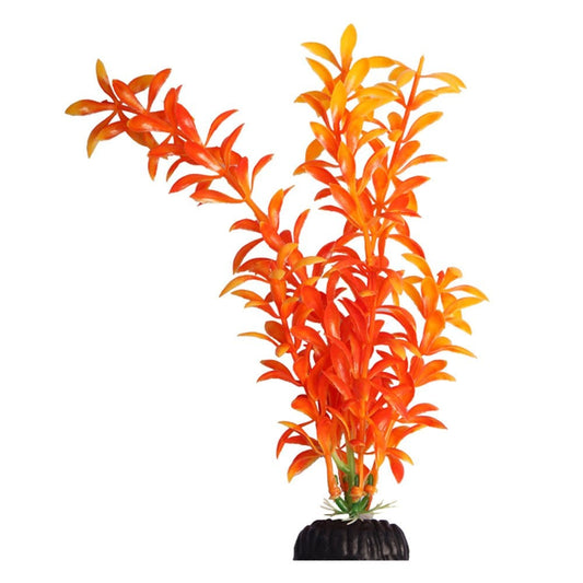 Brightscape Orange Ludwigia 20cm