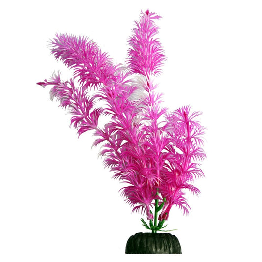 Brightscape Pink Ambulia 20cm