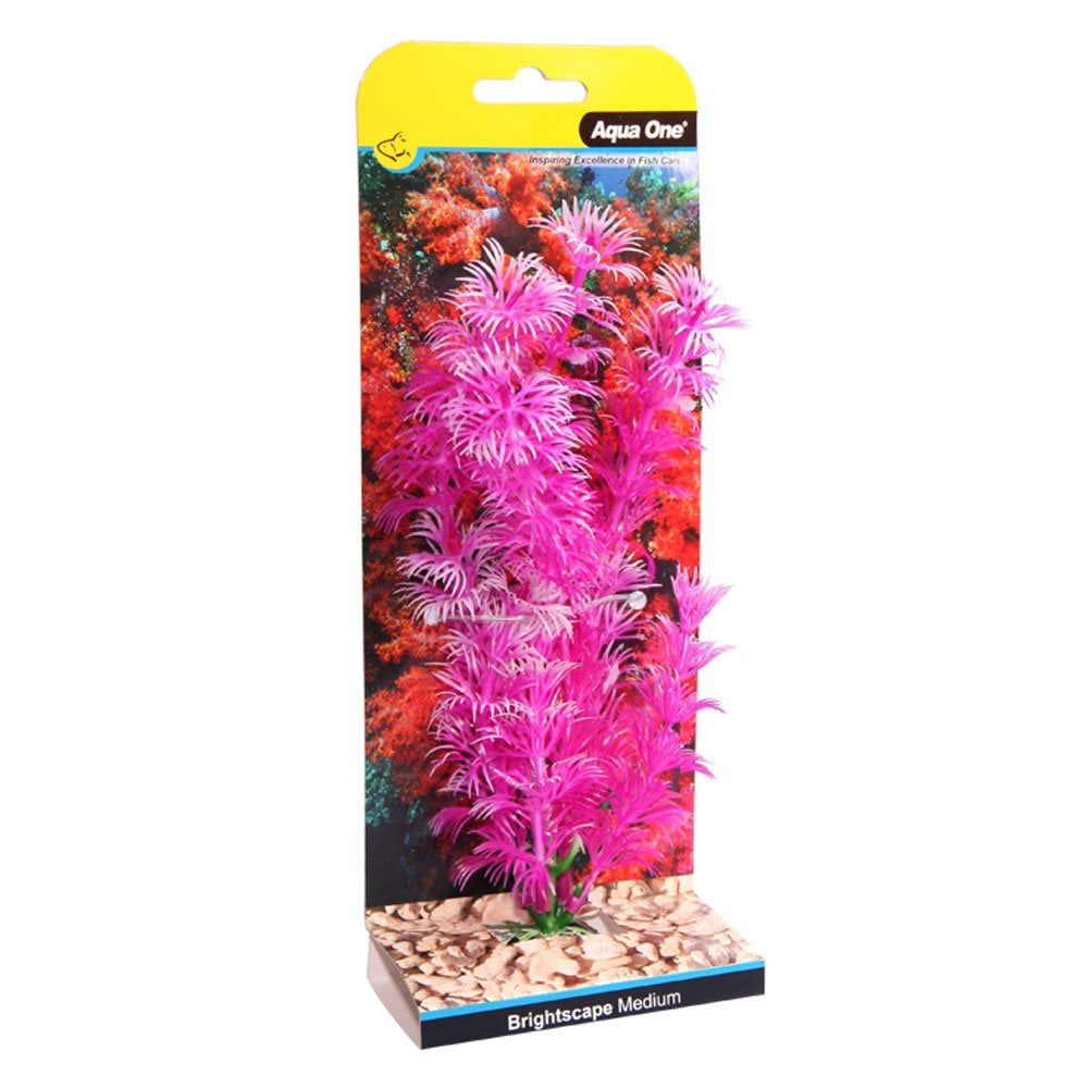 Brightscape Pink Ambulia 20cm