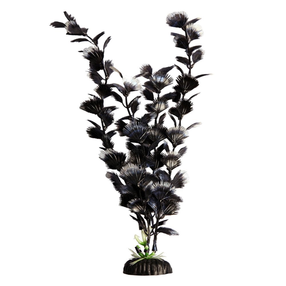 Brightscape Black Hygro 20cm