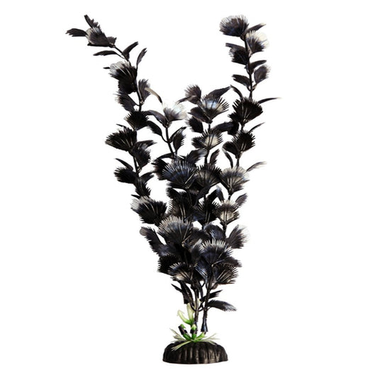 Brightscape Black Hygro 20cm