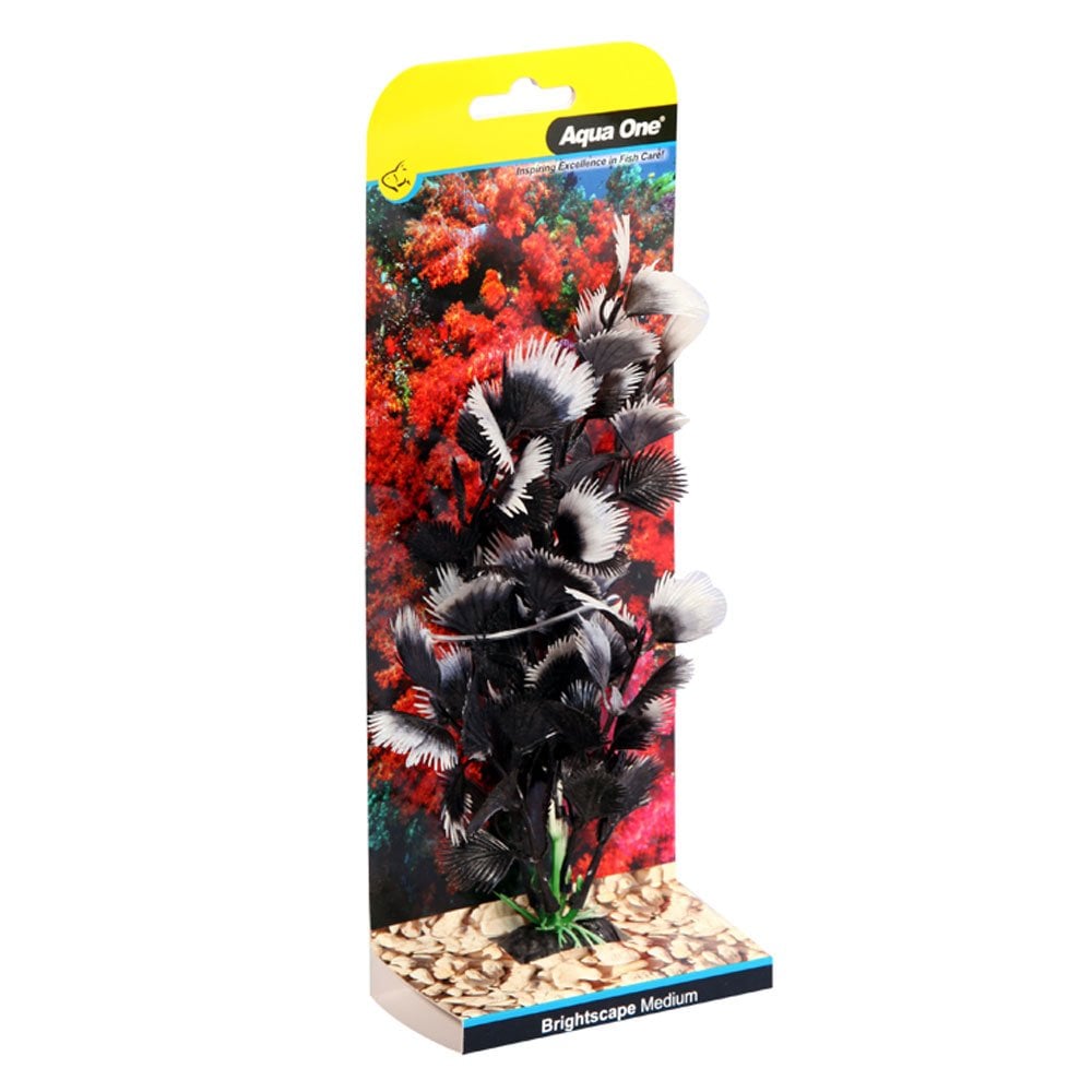 Brightscape Black Hygro 20cm