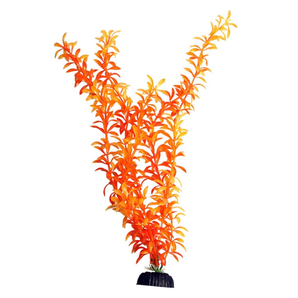 Brightscape Orange Ludwigia 40cm