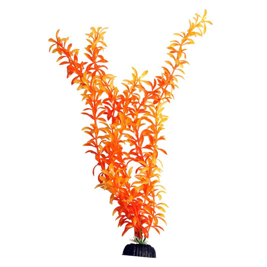 Brightscape Orange Ludwigia 40cm
