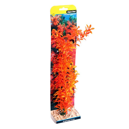 Brightscape Orange Ludwigia 40cm