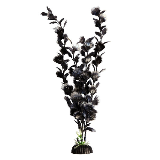 Brightscape Black Fan Palm 40cm