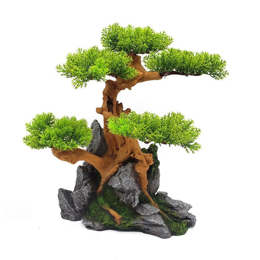 Bonsai Tree On Rocks