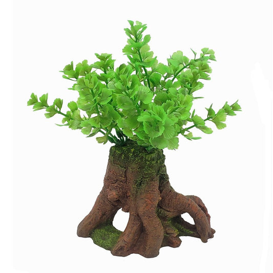 Twisted Tree Trunk