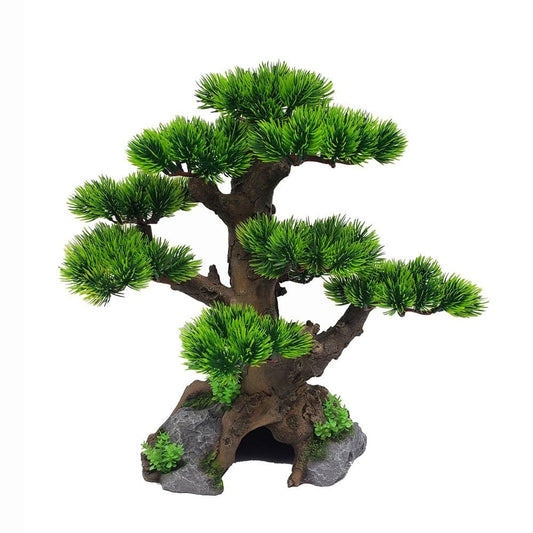 Hollow Base Bonsai Tree