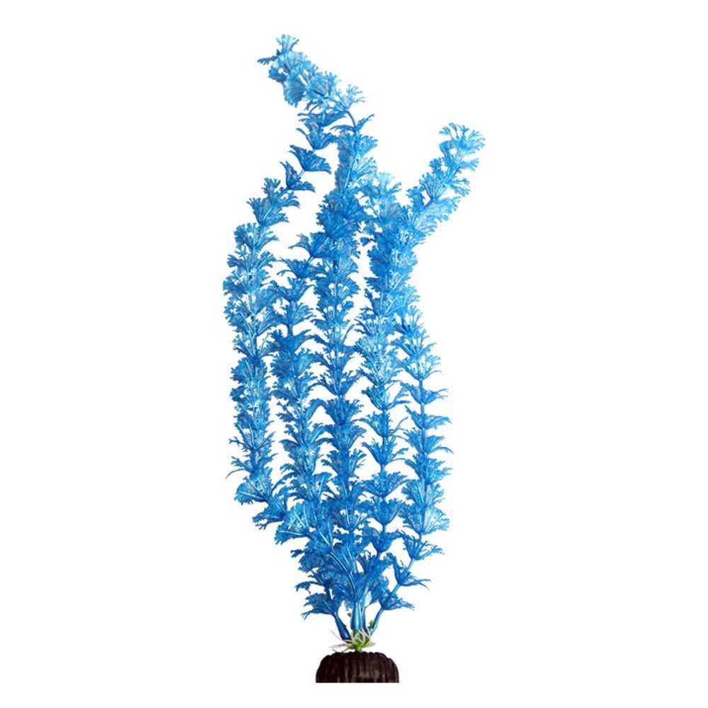 Ecoscape Blue Ambulia 40cm