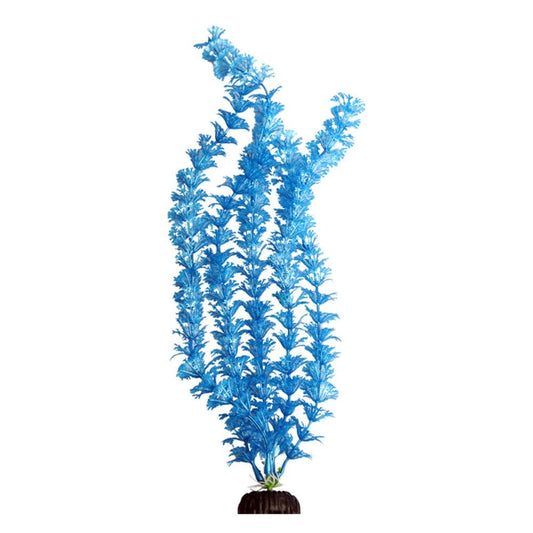 Ecoscape Blue Ambulia 40cm