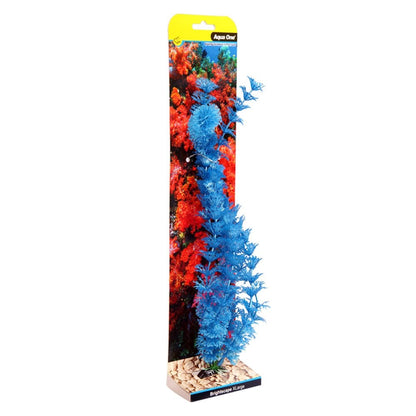 Ecoscape Blue Ambulia 40cm