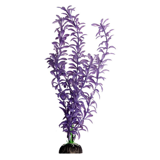Ecoscape Purple Ludwigia 40cm