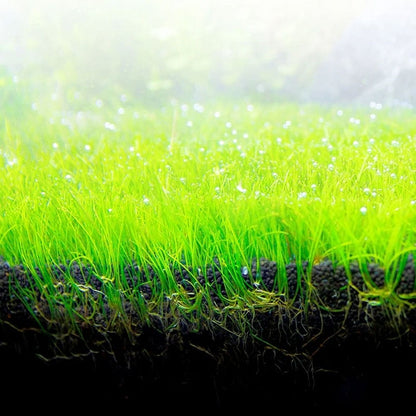 Bio Stratum Aquarium Substrate