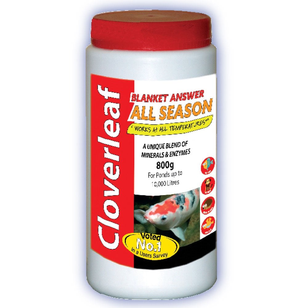 Blanket Answer All Season