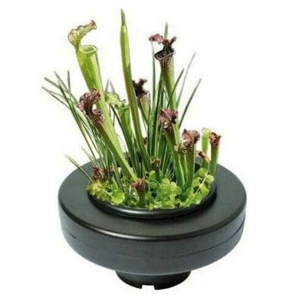 Round Floating Plant Baskets