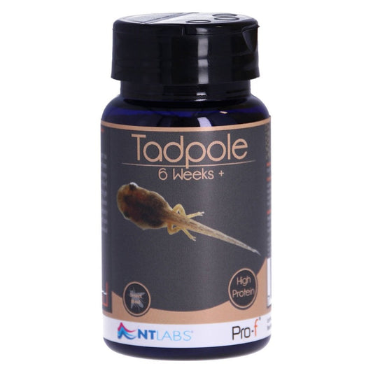 Pro-F Tadpole Food 6 Weeks+