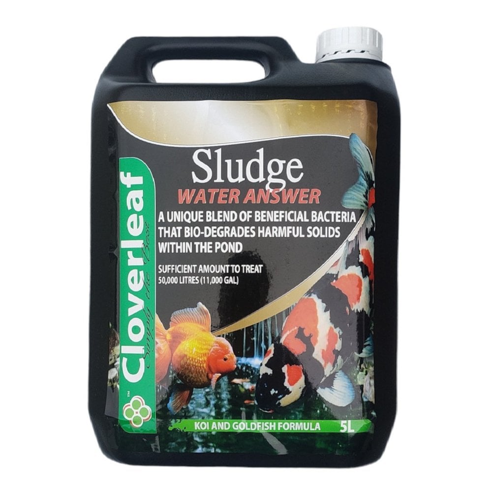 Sludge Answer