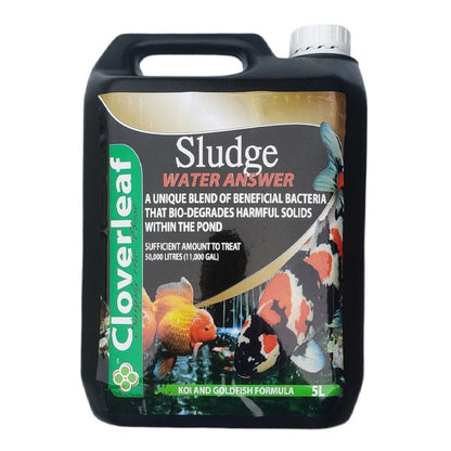 Sludge Answer