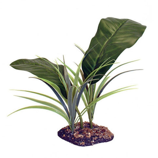 Evergreen Canopy