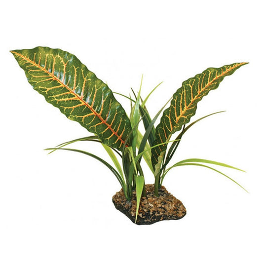 Tropical Canopy