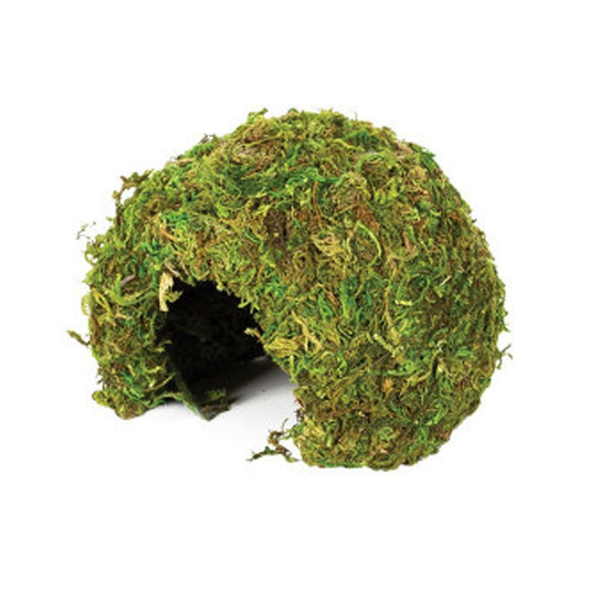 Natural Moss Caves