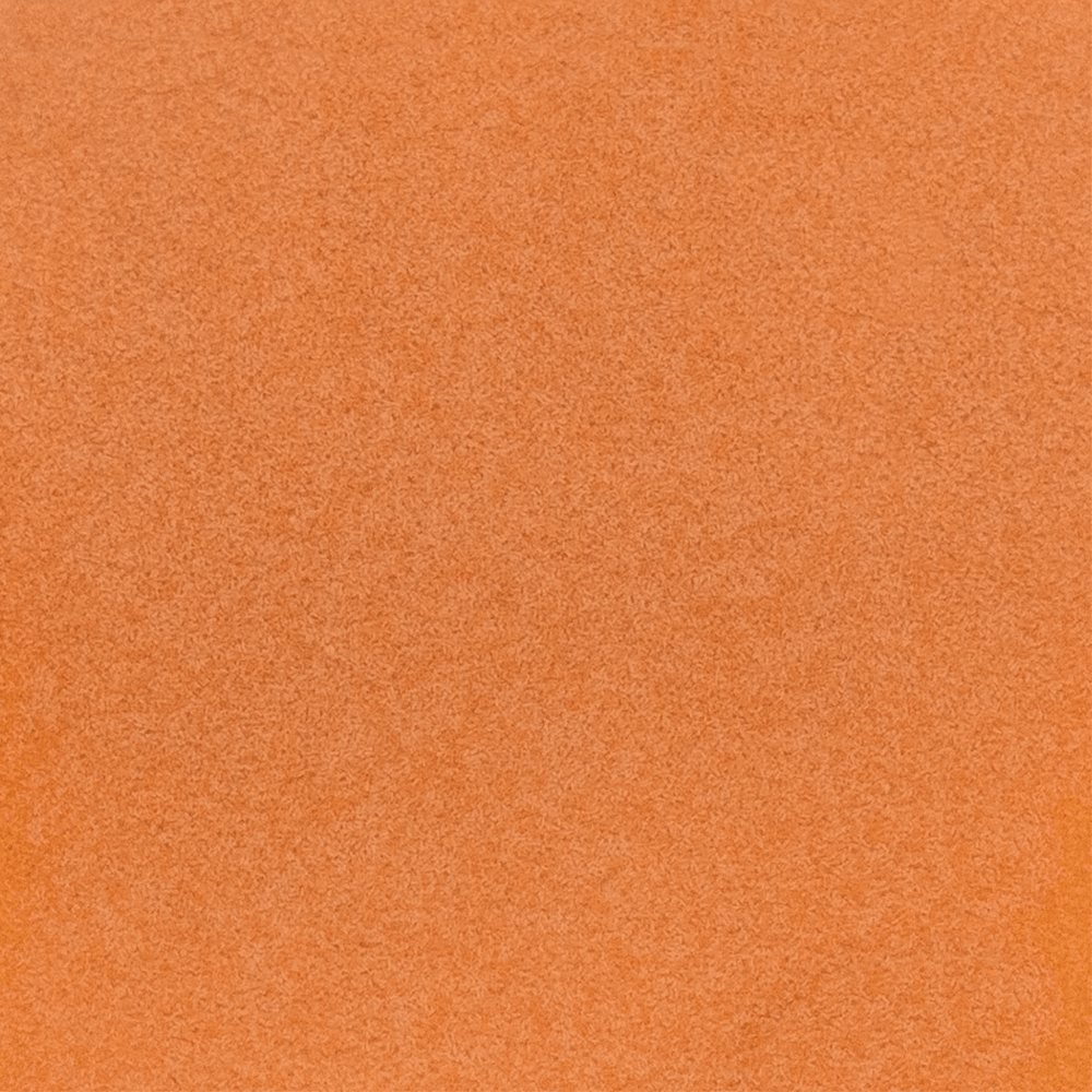 Instant Baby Brine Shrimp 20g