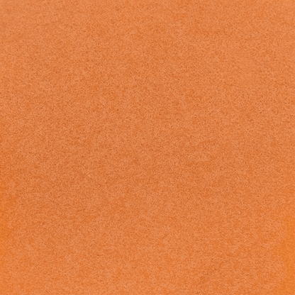 Instant Baby Brine Shrimp 20g