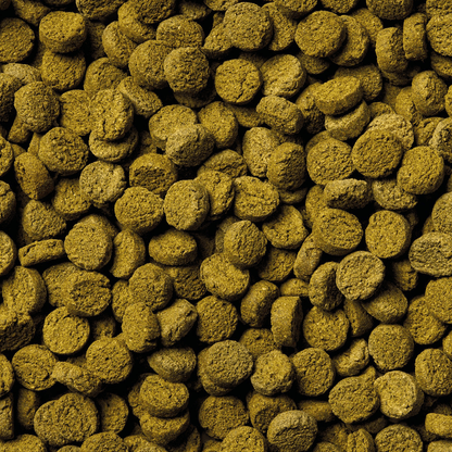 ORGANIX Daily Tabs