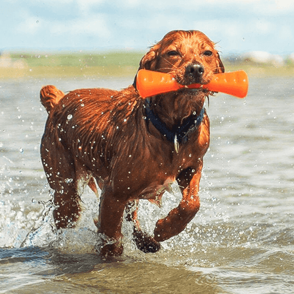 Urban Stick - Medium (23cm)