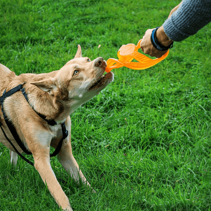 Toss-N-Tug Ring (22.7cm)
