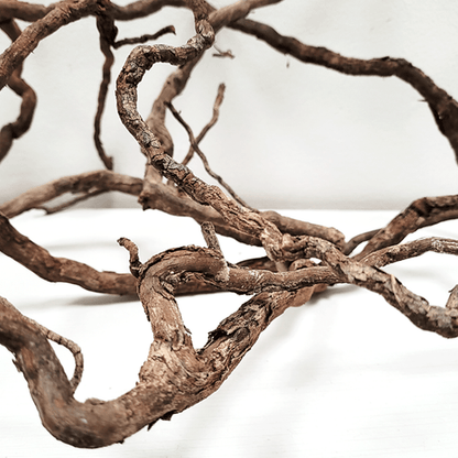 Elder Root Mix 250g
