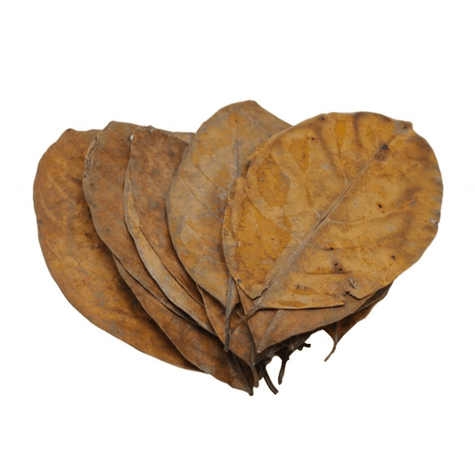 Jack Leaves (20pk)