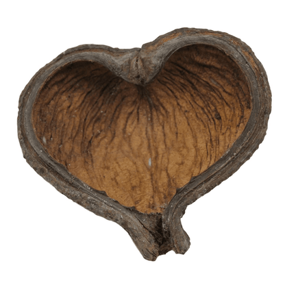 Thelambu Pods (1pk)