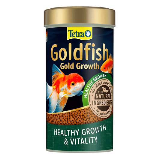 Goldfish Gold Growth
