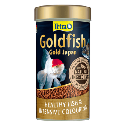 Goldfish Gold Japan