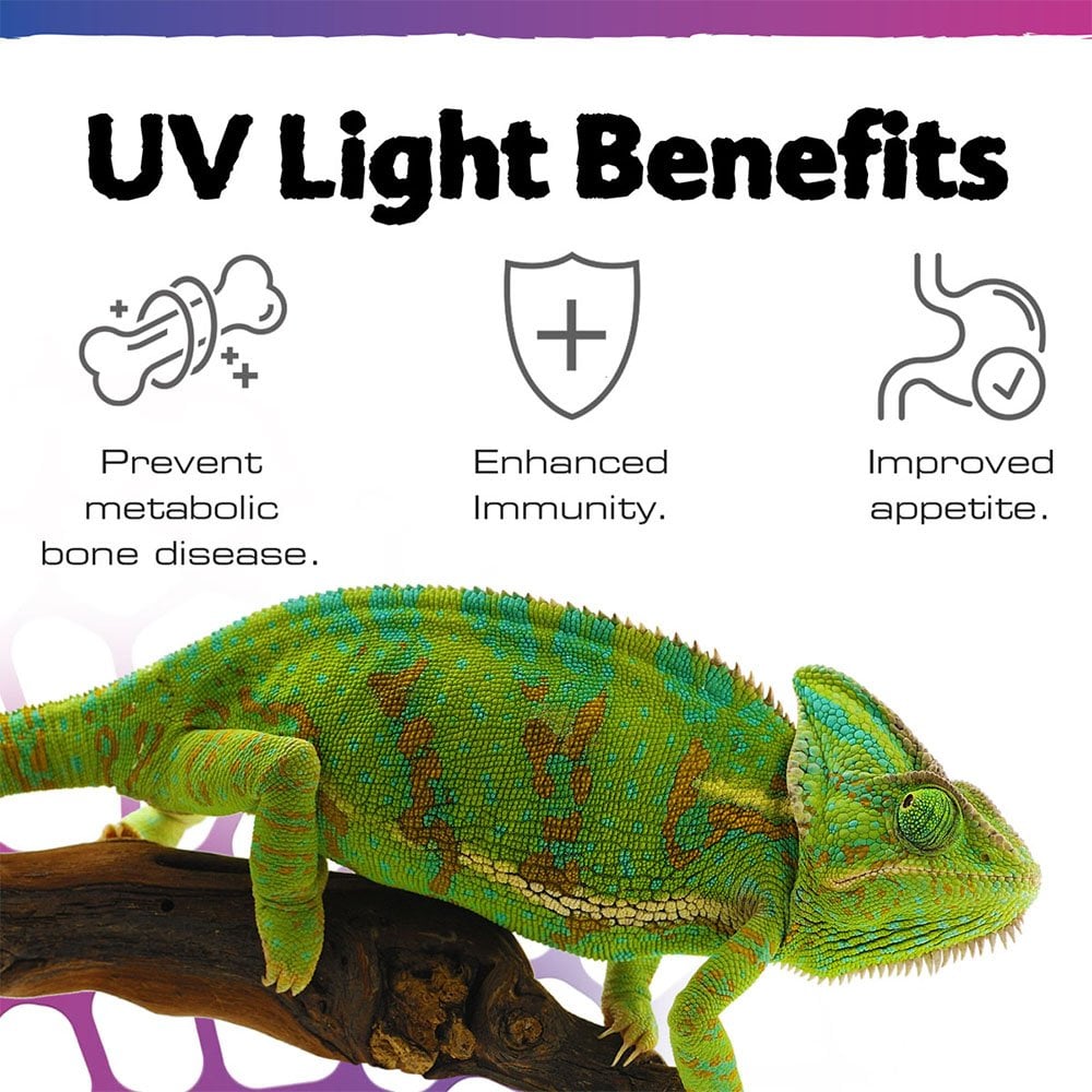 TerraSky UVB LED Terrarium Spot 3w