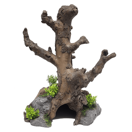Hollow Base Tree Trunk