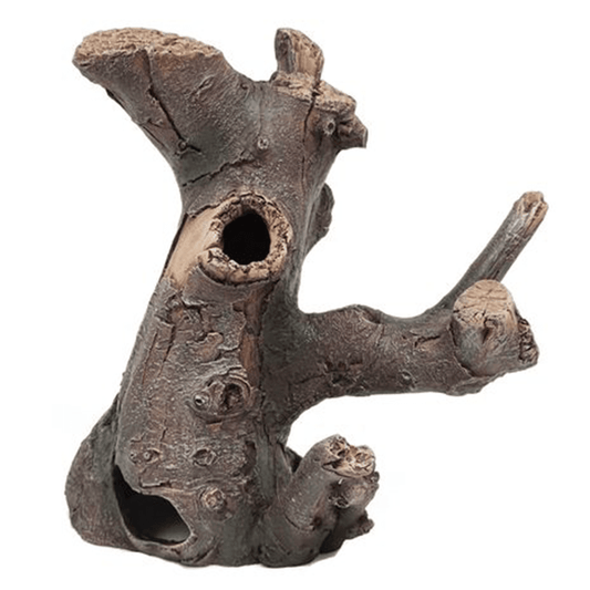 Twisted Hollow Tree Trunk