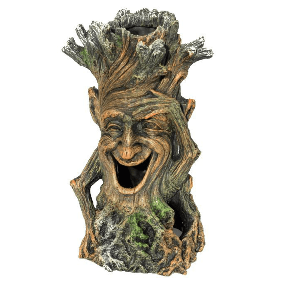 Laughing Tree Trunk
