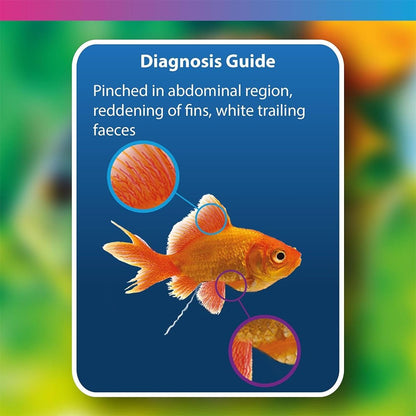 Aquarium Anti Fluke & Wormer