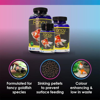 Pro-F Fancy Goldfish