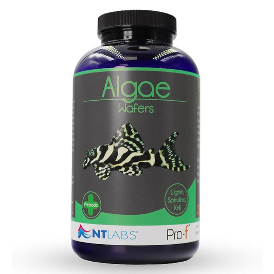 Pro-F Algae Wafers